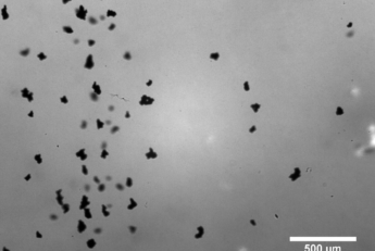 metal particles in oil
