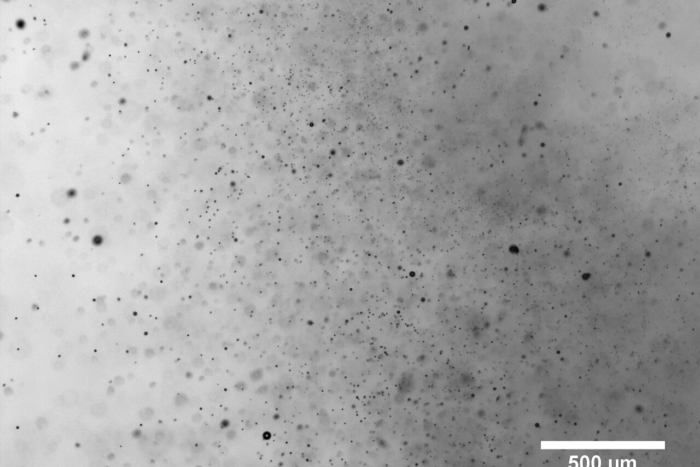 sprayed droplets at the downstream